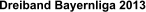 Dreiband Bayernliga 2013